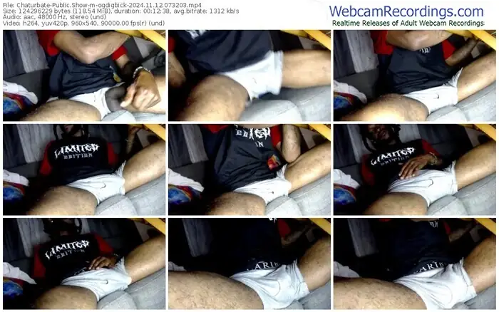 chaturbate-ogdigbick-11-12-2024-07-32-03