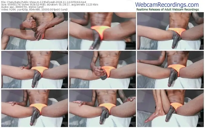 chaturbate-123hellyeah-11-14-2024-00-50-44