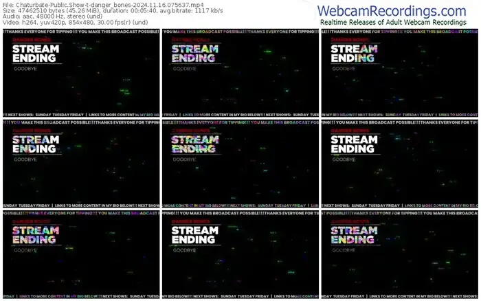 chaturbate-danger_bones-11-16-2024-07-56-37