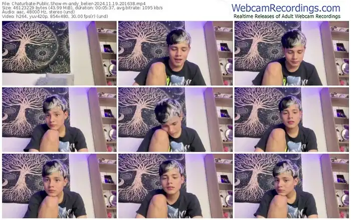 chaturbate-andy_belier-11-19-2024-20-16-38