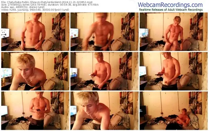 chaturbate-thetylerdurden0-11-21-2024-02-38-52