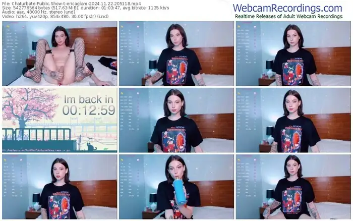 chaturbate-ericaglam-11-22-2024-20-51-18
