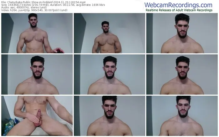 chaturbate-hiddenf-11-23-2024-12-01-54