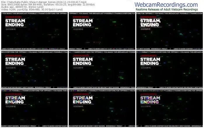 chaturbate-danger_bones-11-23-2024-09-14-17