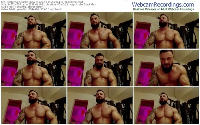 chaturbate-adonis_msc-11-24-2024-00-06-35