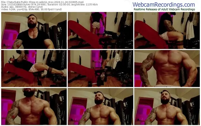 chaturbate-adonis_msc-11-24-2024-02-28-05