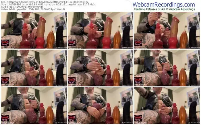 chaturbate-hardtankseattle-11-24-2024-01-05-20
