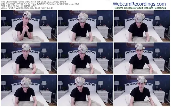 chaturbate-cb_cat-11-27-2024-00-25-12