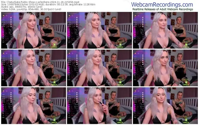 chaturbate-arlenhere-11-29-2024-21-56-56