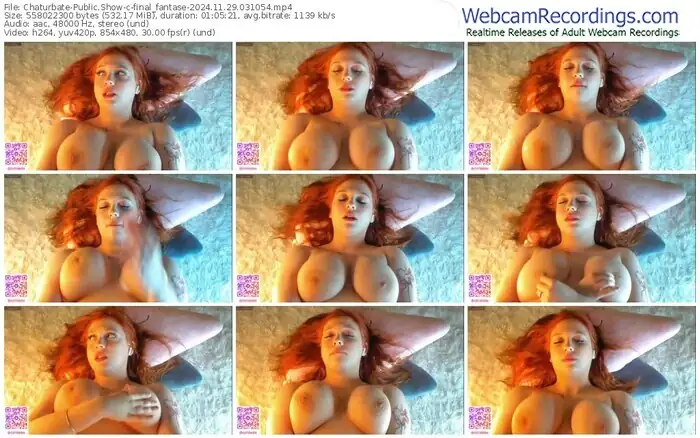 chaturbate-final_fantase-11-29-2024-03-10-54