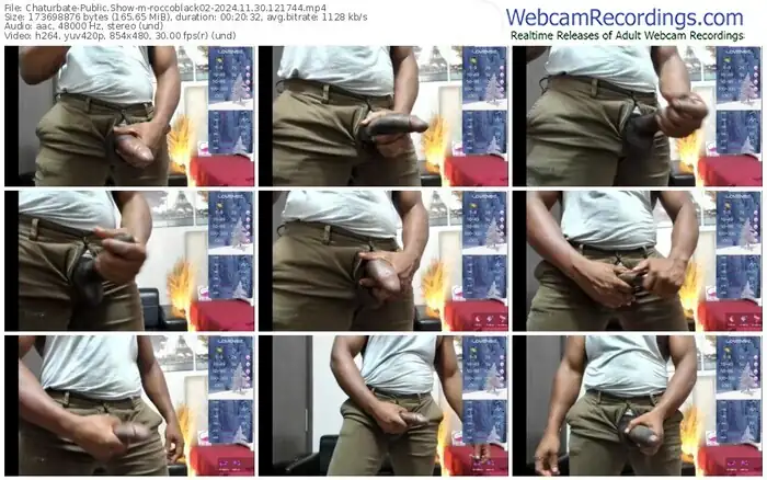 chaturbate-roccoblack02-11-30-2024-12-17-44