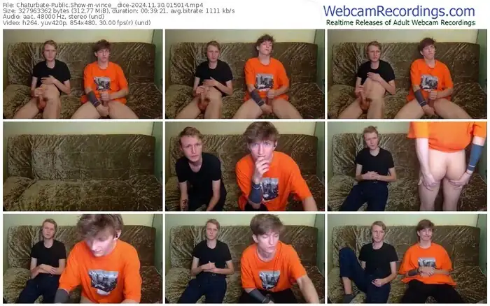 chaturbate-vince__dice-11-30-2024-01-50-14