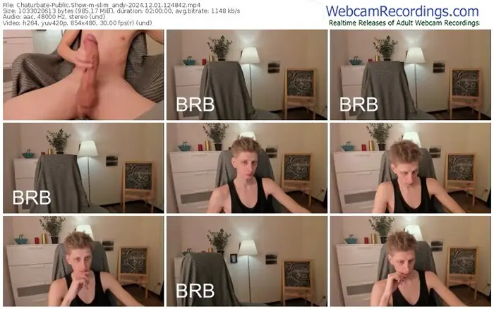chaturbate-slim_andy-12-01-2024-12-48-42