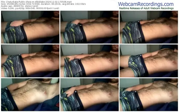 chaturbate-dlbiblake-12-02-2024-17-05-08