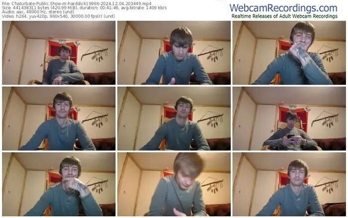 chaturbate-harddick19966-12-04-2024-20-34-49