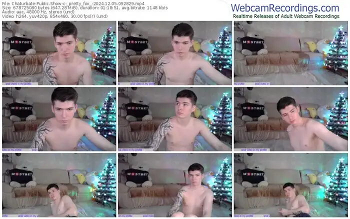 chaturbate-_pretty_fox_-12-05-2024-09-28-29