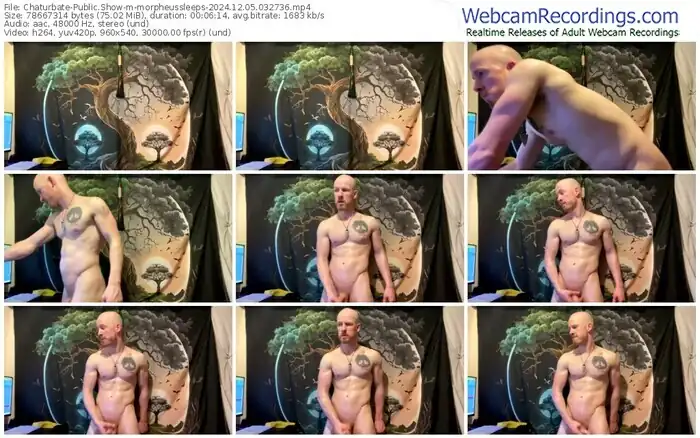 chaturbate-morpheussleeps-12-05-2024-03-27-36