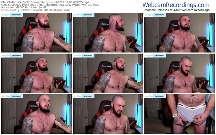 chaturbate-burlybound-12-06-2024-03-37-35