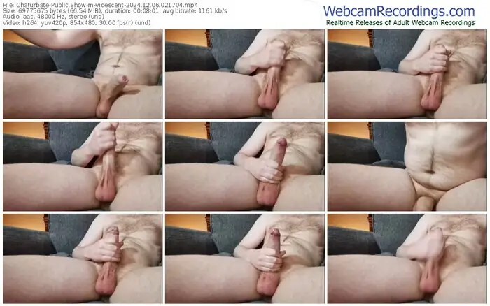 chaturbate-videscent-12-06-2024-02-17-04