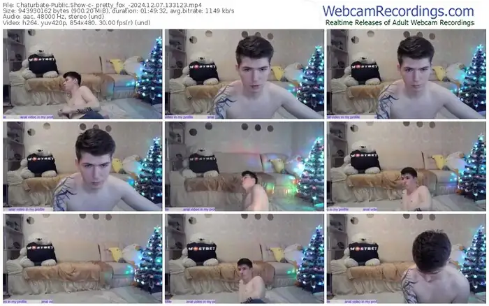 chaturbate-_pretty_fox_-12-07-2024-13-31-23