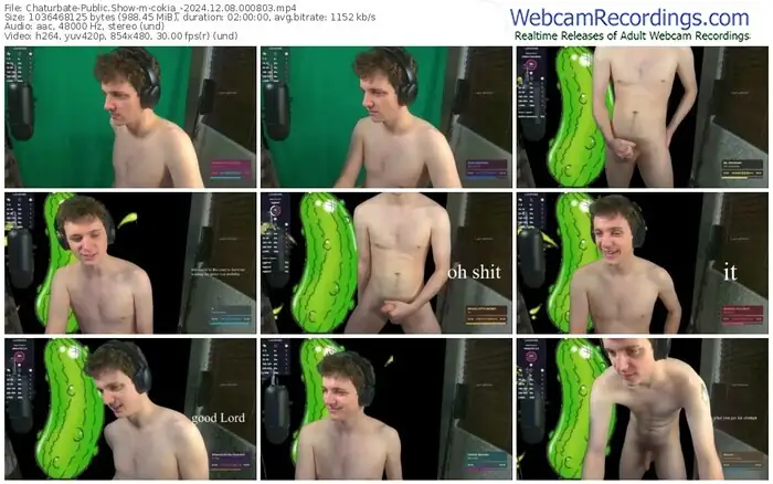 chaturbate-cokia_-12-08-2024-00-08-03