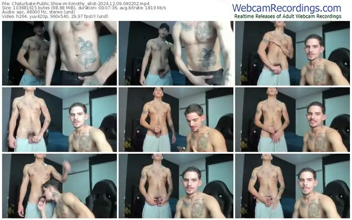 chaturbate-timothy_eliot-12-09-2024-04-02-02