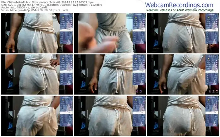 chaturbate-roccoblack02-12-12-2024-12-03-53