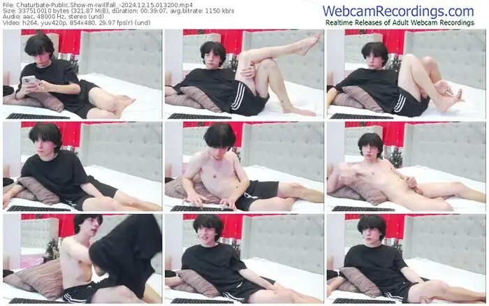 chaturbate-iwillfall_-12-15-2024-01-32-00