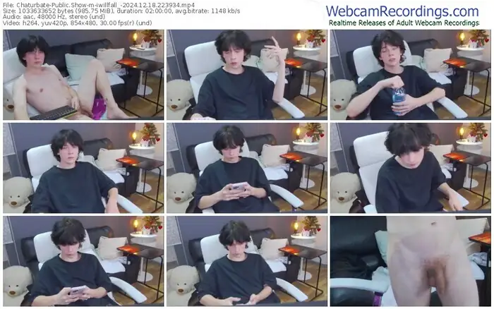 chaturbate-iwillfall_-12-18-2024-22-39-34