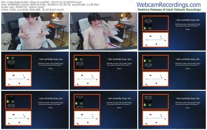 chaturbate-iwillfall_-12-19-2024-00-56-50
