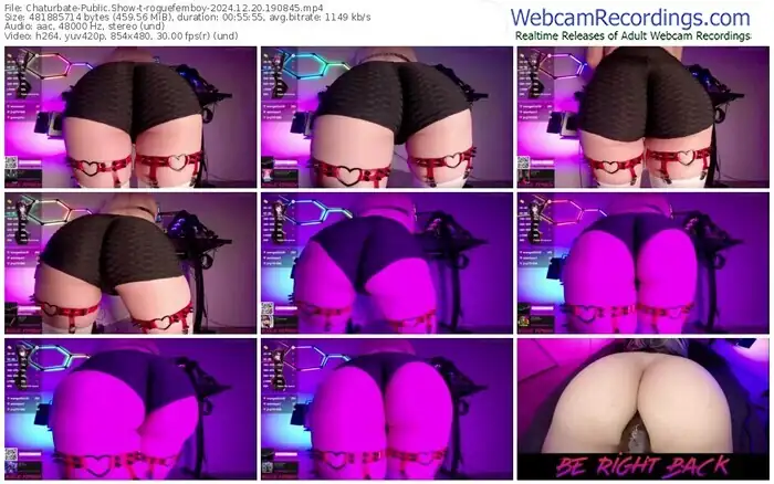 chaturbate-roguefemboy-12-20-2024-19-08-45