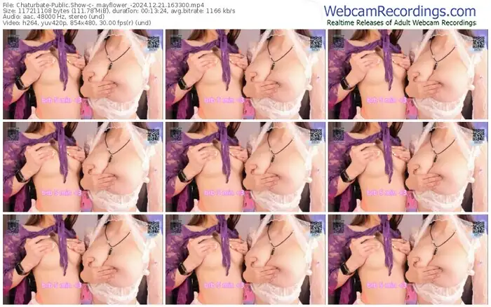 chaturbate-_mayflower_-12-21-2024-16-33-00