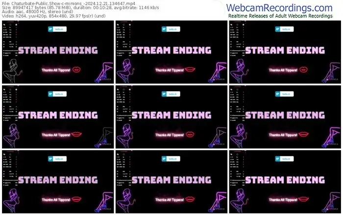 chaturbate-minions_-12-21-2024-13-46-47