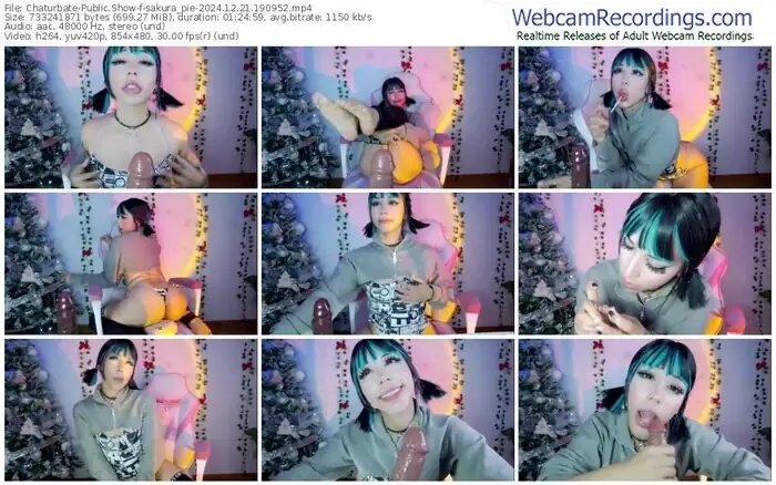 chaturbate-sakura_pie-12-21-2024-19-09-52