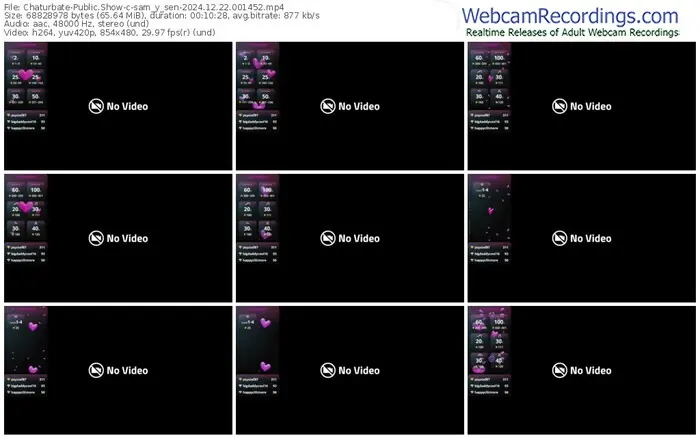 chaturbate-sam_y_sen-12-22-2024-00-14-52
