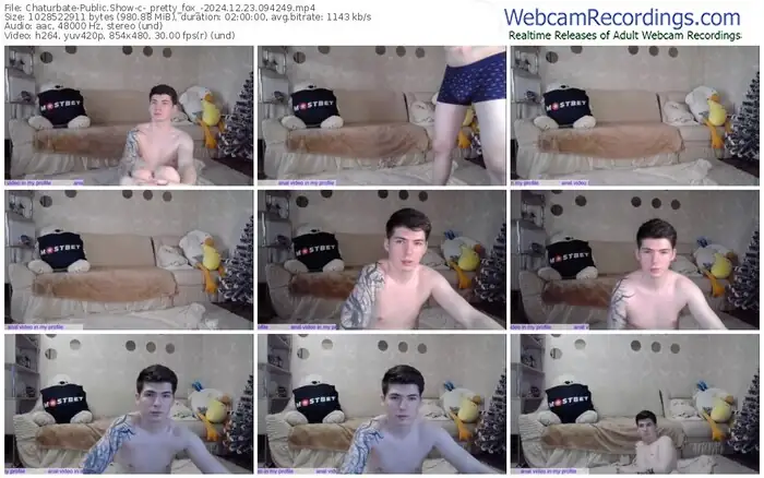 chaturbate-_pretty_fox_-12-23-2024-09-42-49