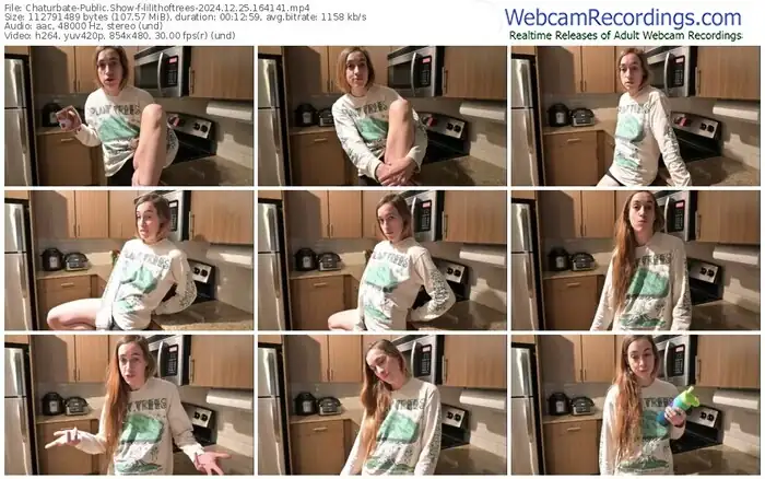 chaturbate-lilithoftrees-12-25-2024-16-41-41