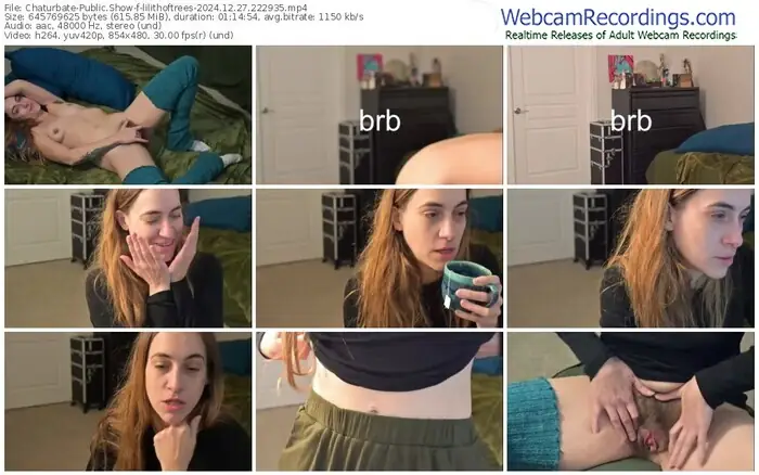 chaturbate-lilithoftrees-12-27-2024-22-29-35