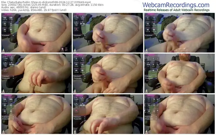 chaturbate-dicksmith99-12-27-2024-03-59-49