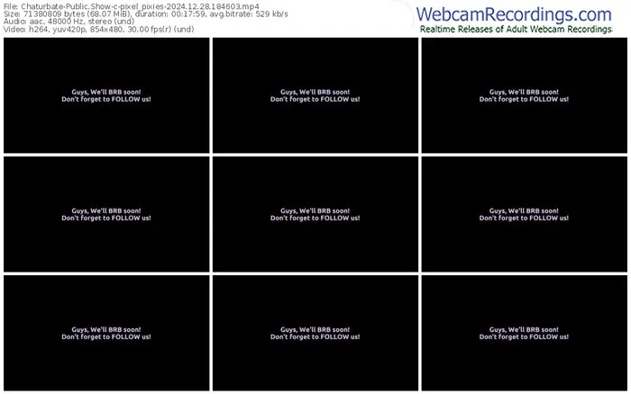 chaturbate-pixel_pixies-12-28-2024-18-46-03