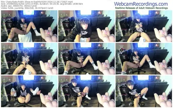 chaturbate-bashful4200-12-28-2024-17-28-27