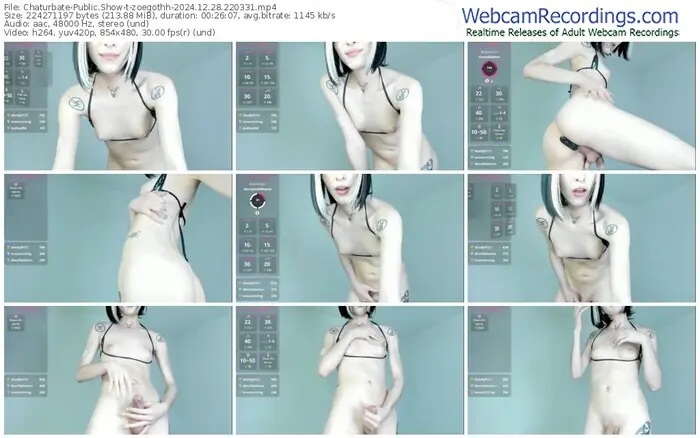 chaturbate-zoegothh-12-28-2024-22-03-31