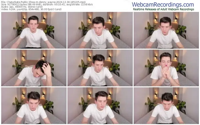 chaturbate-denny_wayne-12-30-2024-18-52-25