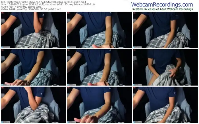 chaturbate-tinydickforreal-12-30-2024-01-26-07