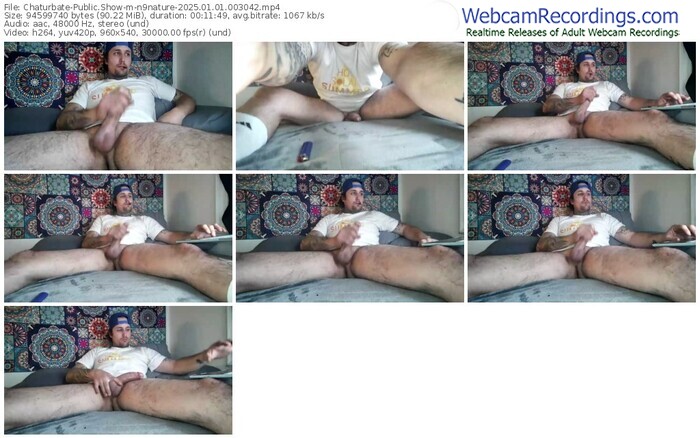 chaturbate-n9nature-01-01-2025-00-30-42
