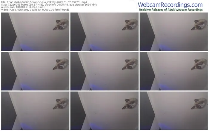 chaturbate-hello_imkitty-01-07-2025-23-22-51