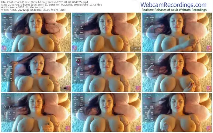 chaturbate-final_fantase-01-09-2025-00-47-55
