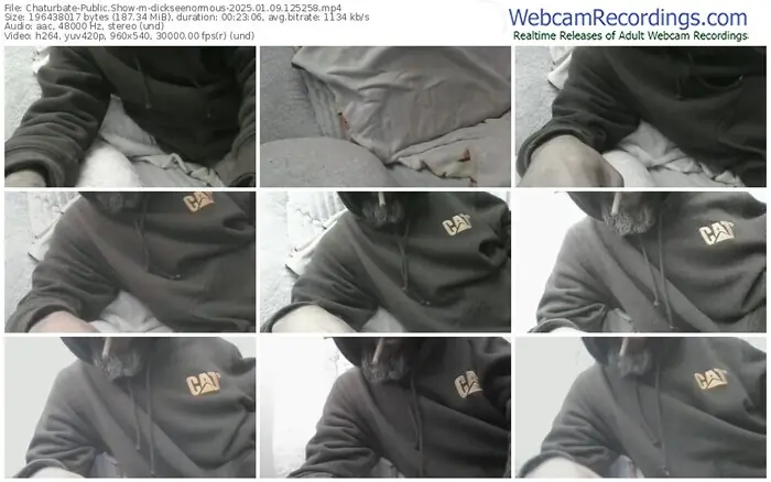 chaturbate-dickseenormous-01-09-2025-12-52-58