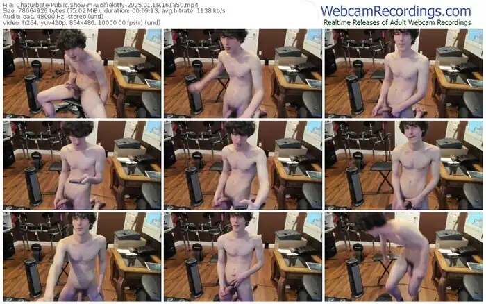 chaturbate-wolfiekitty-01-19-2025-16-18-50