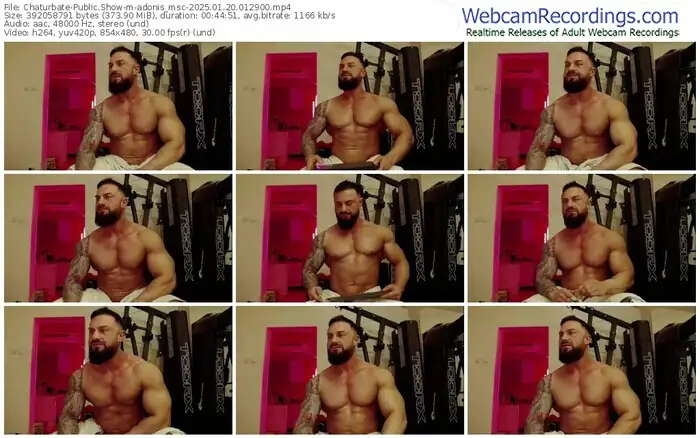 chaturbate-adonis_msc-01-20-2025-01-29-00